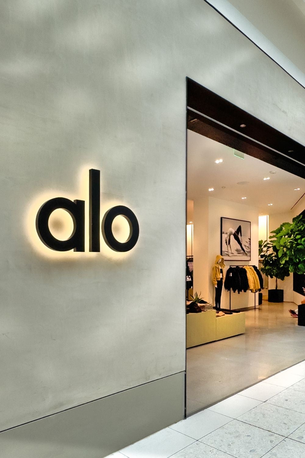 Alo Yoga