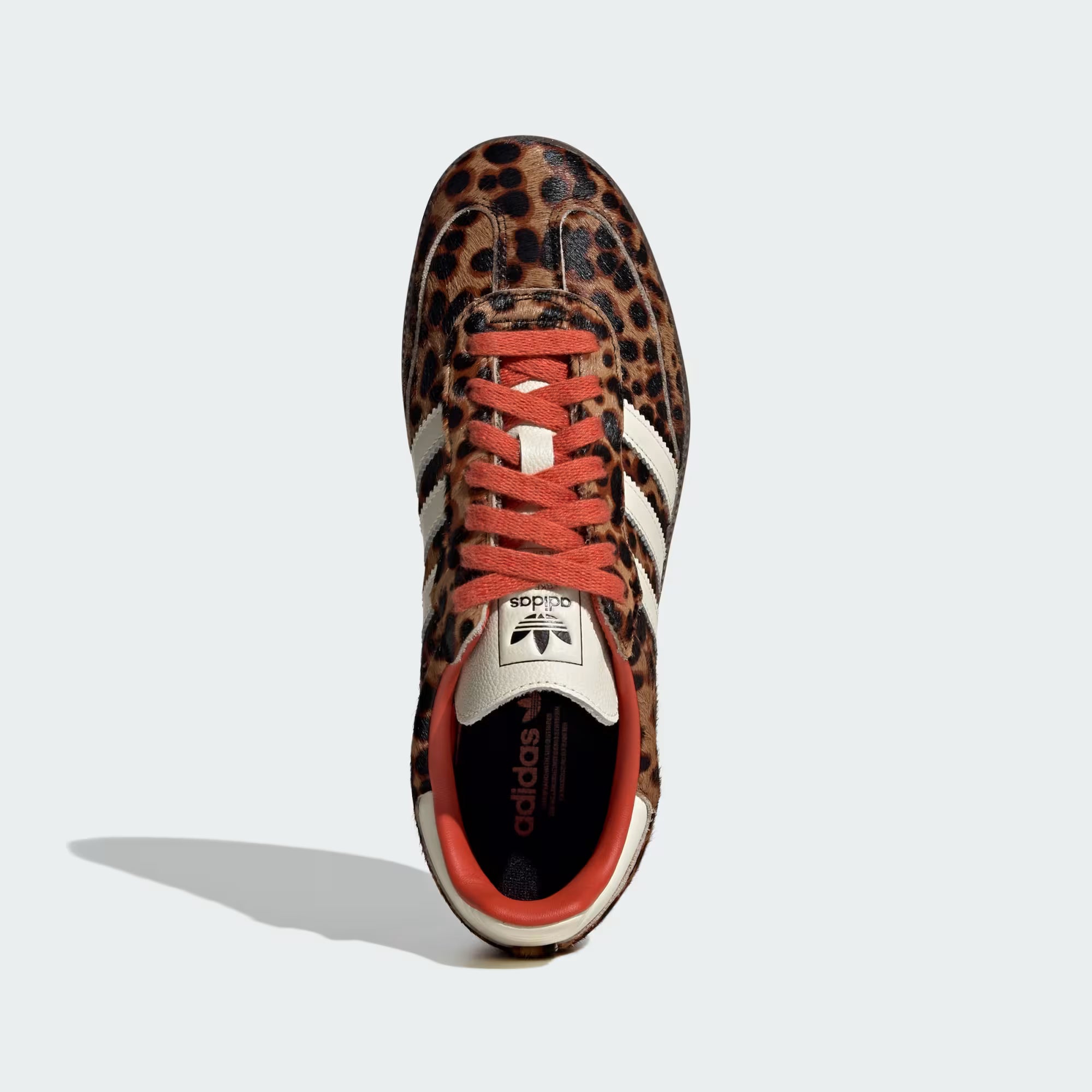 Samba OG Edicion Especial