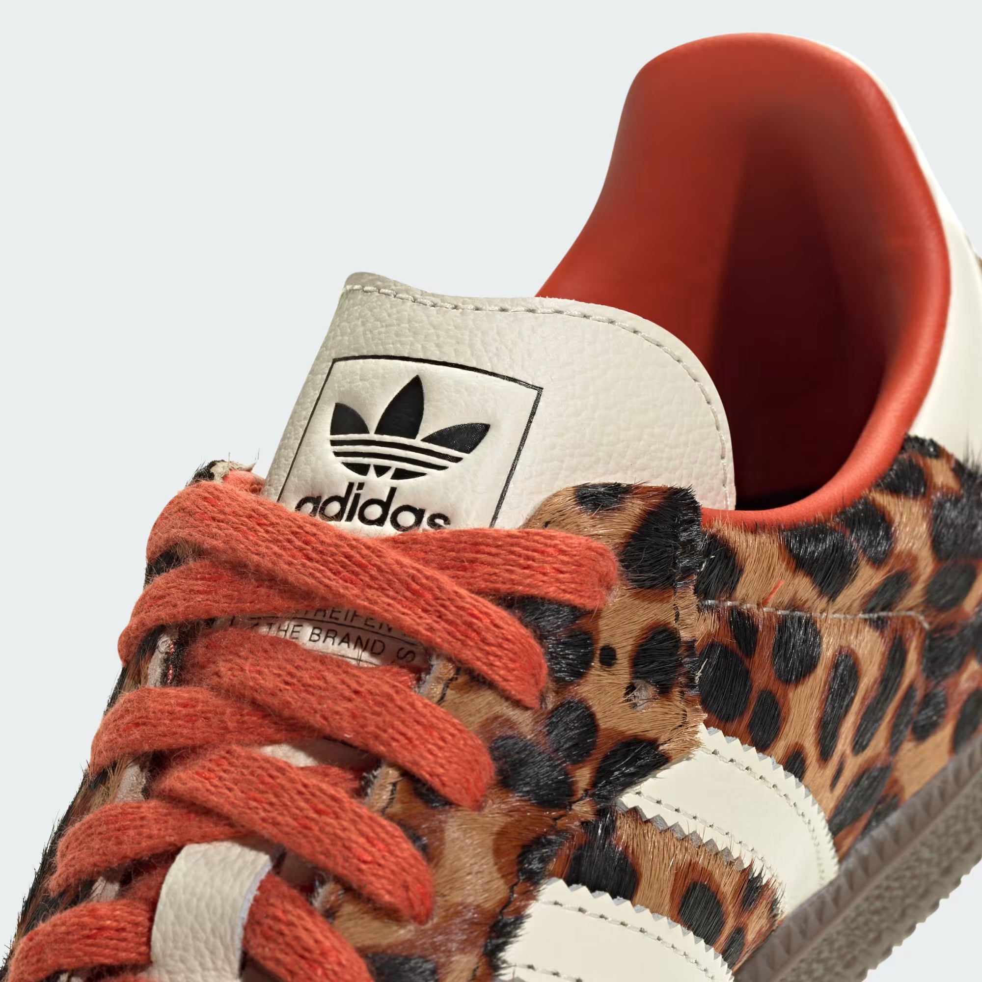 Samba OG Edicion Especial